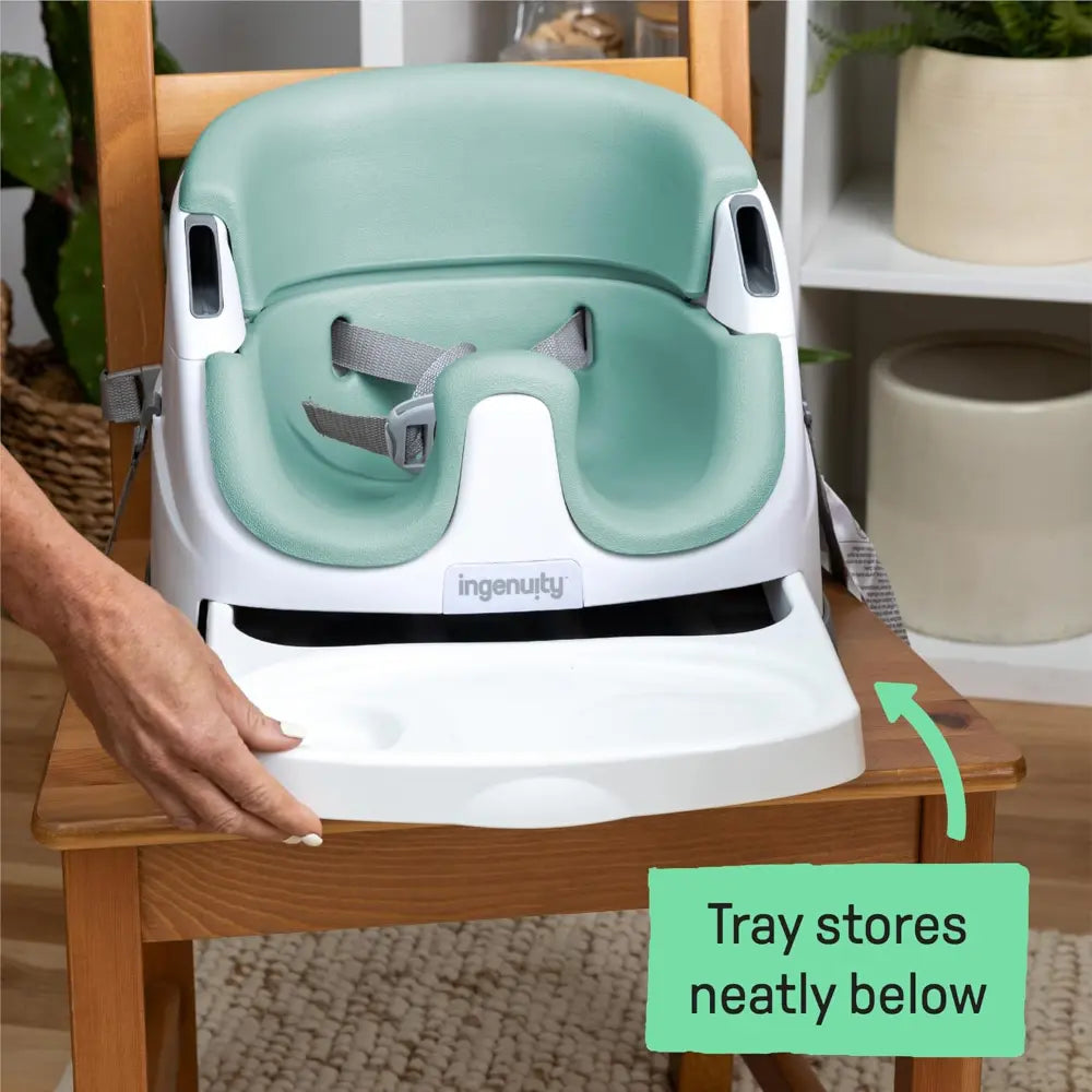 Ingenuity 2-in-1 Baby Booster Seat Mist