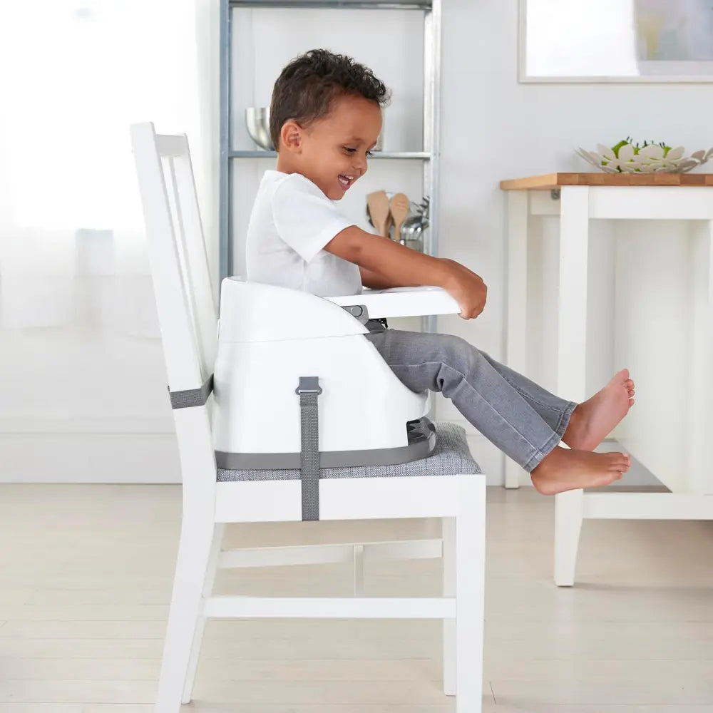 Ingenuity 2-in-1 Baby Booster Seat Mist
