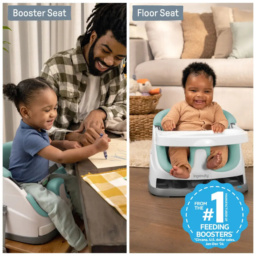 Ingenuity 2-in-1 Baby Booster Seat Mist