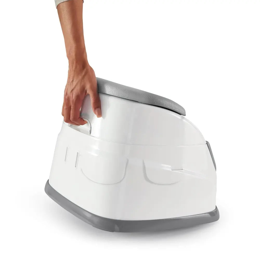 Ingenuity 2-in-1 Baby Booster Seat Mist