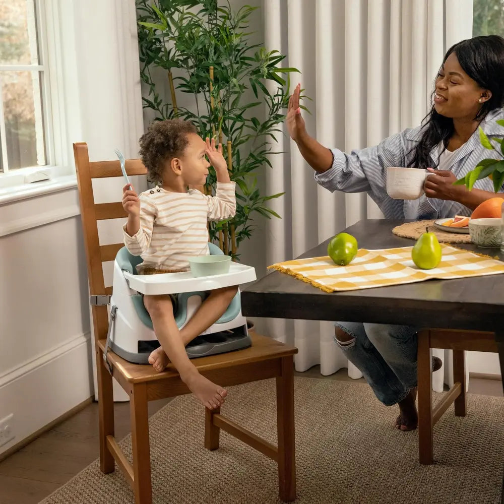 Ingenuity 2-in-1 Baby Booster Seat Mist