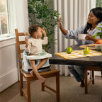 Ingenuity 2-in-1 Baby Booster Seat Mist