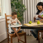 Ingenuity 2-in-1 Baby Booster Seat Mist