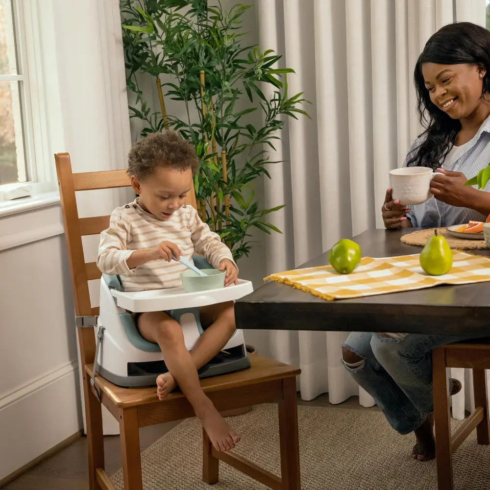 Ingenuity 2-in-1 Baby Booster Seat Mist