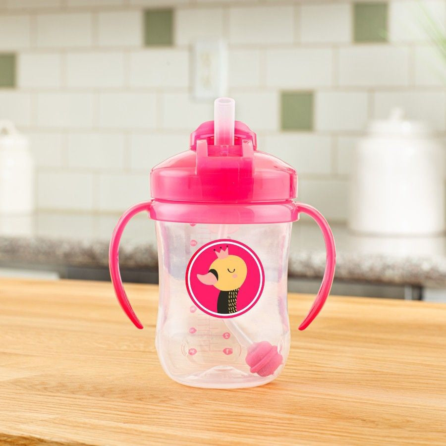 Dr Browns Babys First Straw Cup 6 Plus months 270ml