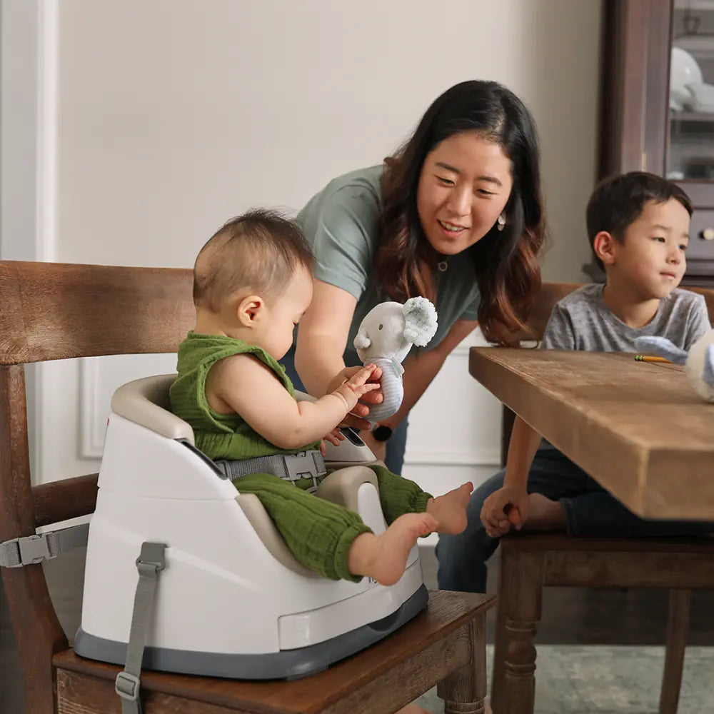 Ingenuity 2-in-1 Baby Booster Seat Cashmere
