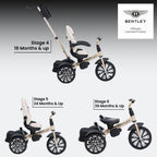 Bentley Mulliner 6 in 1 Trike Stroller