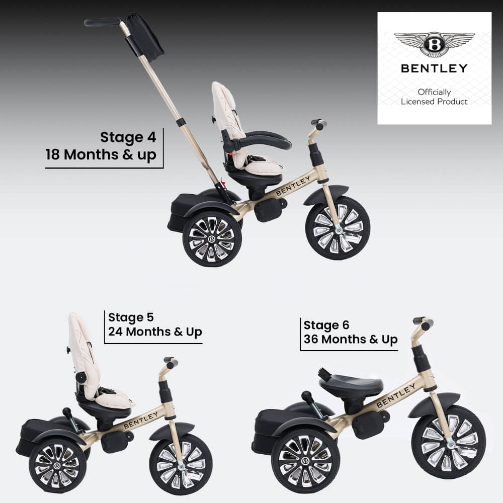 Bentley Mulliner 6 in 1 Trike Stroller