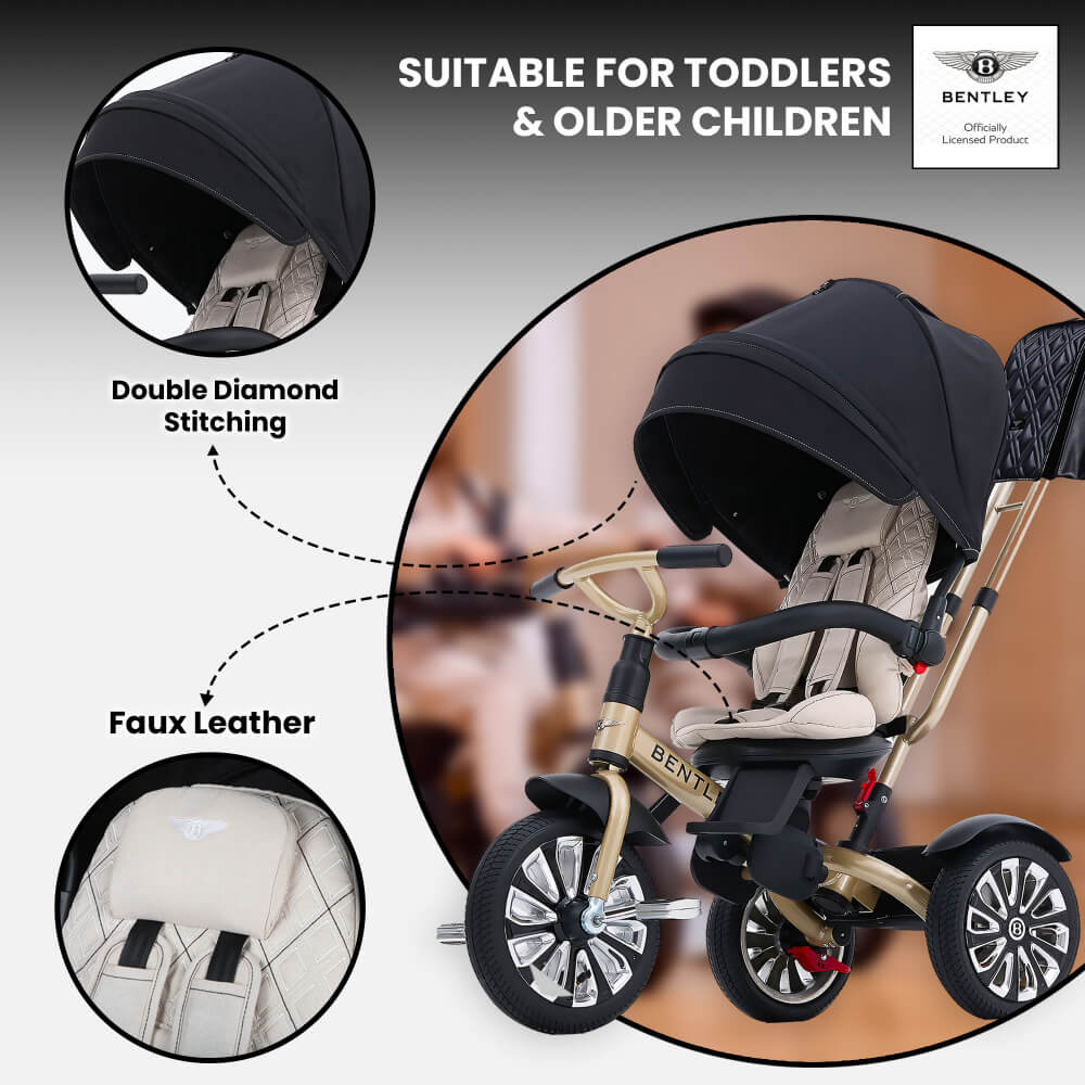 Bentley Mulliner 6 in 1 Trike Stroller