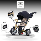 Bentley Mulliner 6 in 1 Trike Stroller