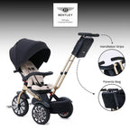 Bentley Mulliner 6 in 1 Trike Stroller