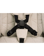 Nuna Trvl Lx Stroller Bmw Collection Mica Lightweight