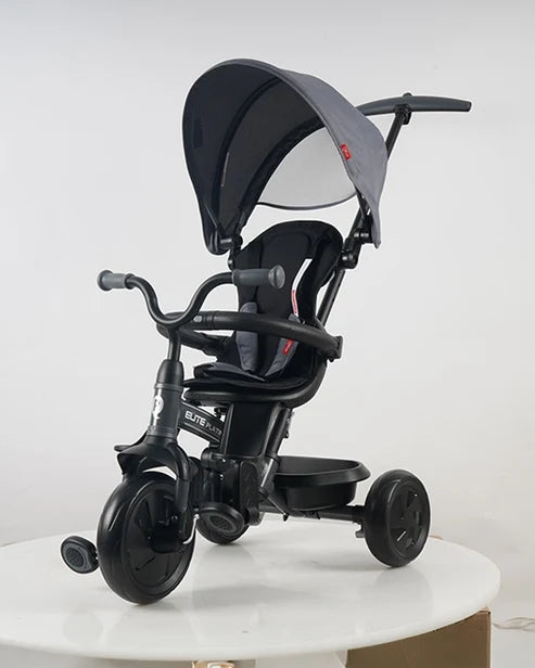 Qplay Elite Platinum 6 in 1 Trike