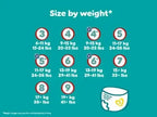 Pampers Baby Dry Pants Size 5 33 Count 12 to 17kg Made in United Kingdom