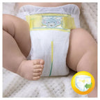 Pampers premium protection new baby 1 to 3kg micro diaper or preemie 24 pcs